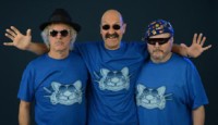 Rythm & Blues lässt die Band Blue Cats durch die Ohren gehen.